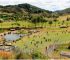 granja-porcon